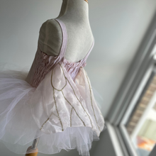 Load image into Gallery viewer, Giselle ballet fairy dress ( 2 colours )