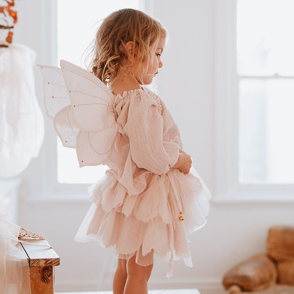 Merri fairy wings - more colours